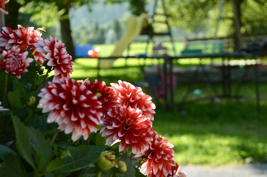 Pension Grafengut Radstadt Esterno foto